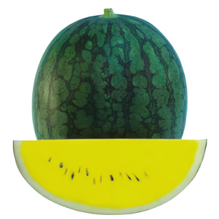 Watermelon Anmol From Known You Seed (India)-KYI